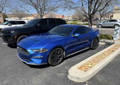 finished autos after window tinting